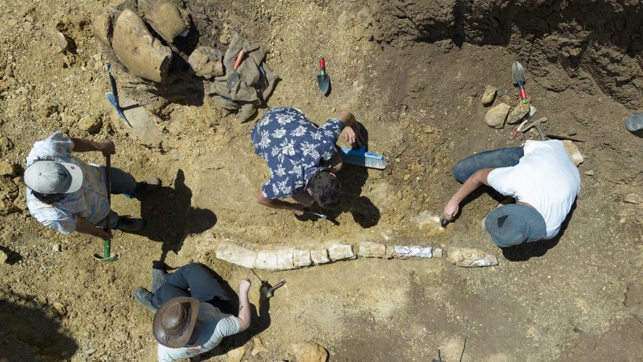 100 Million-year-old Marine Reptile Skeleton Discovered - May 'unlock' Prehistoric Research